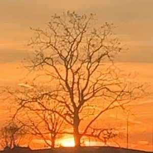 Meet your Posher, Hope